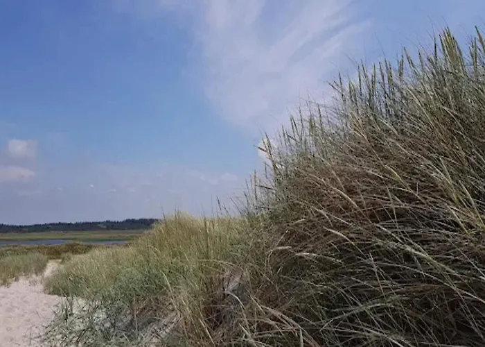 Nyaraló 4 Star In *