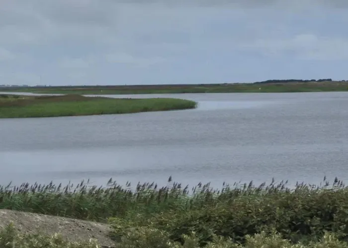 4 Star In Nørre Nebel