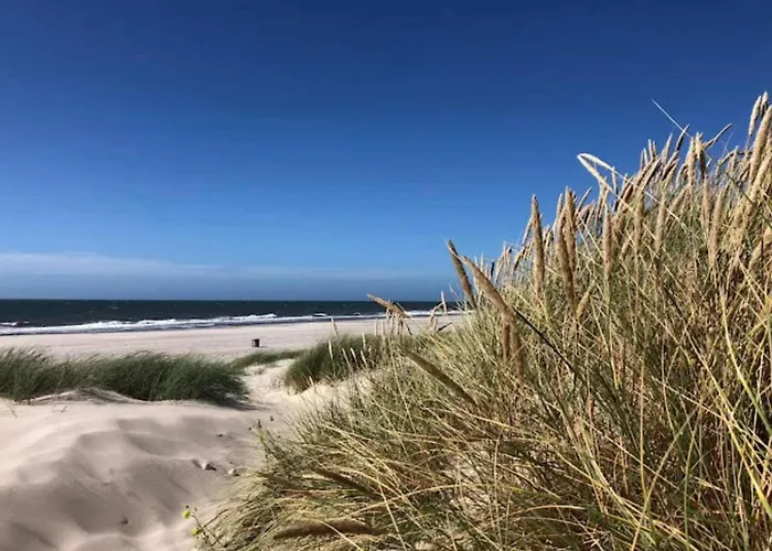 Nyaraló 4 Star In *